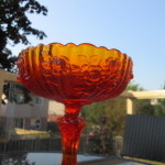 Fenton Colonial rose